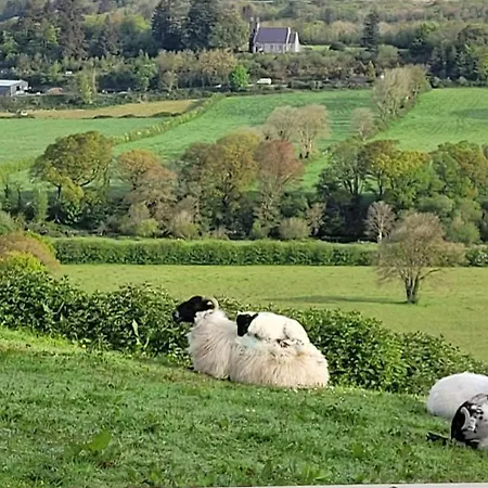 Country - Spectacular Views