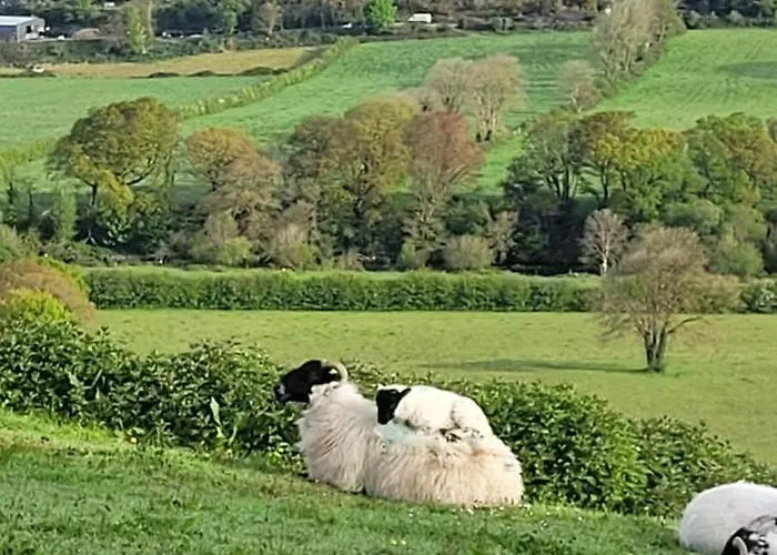 Country - Spectacular Views